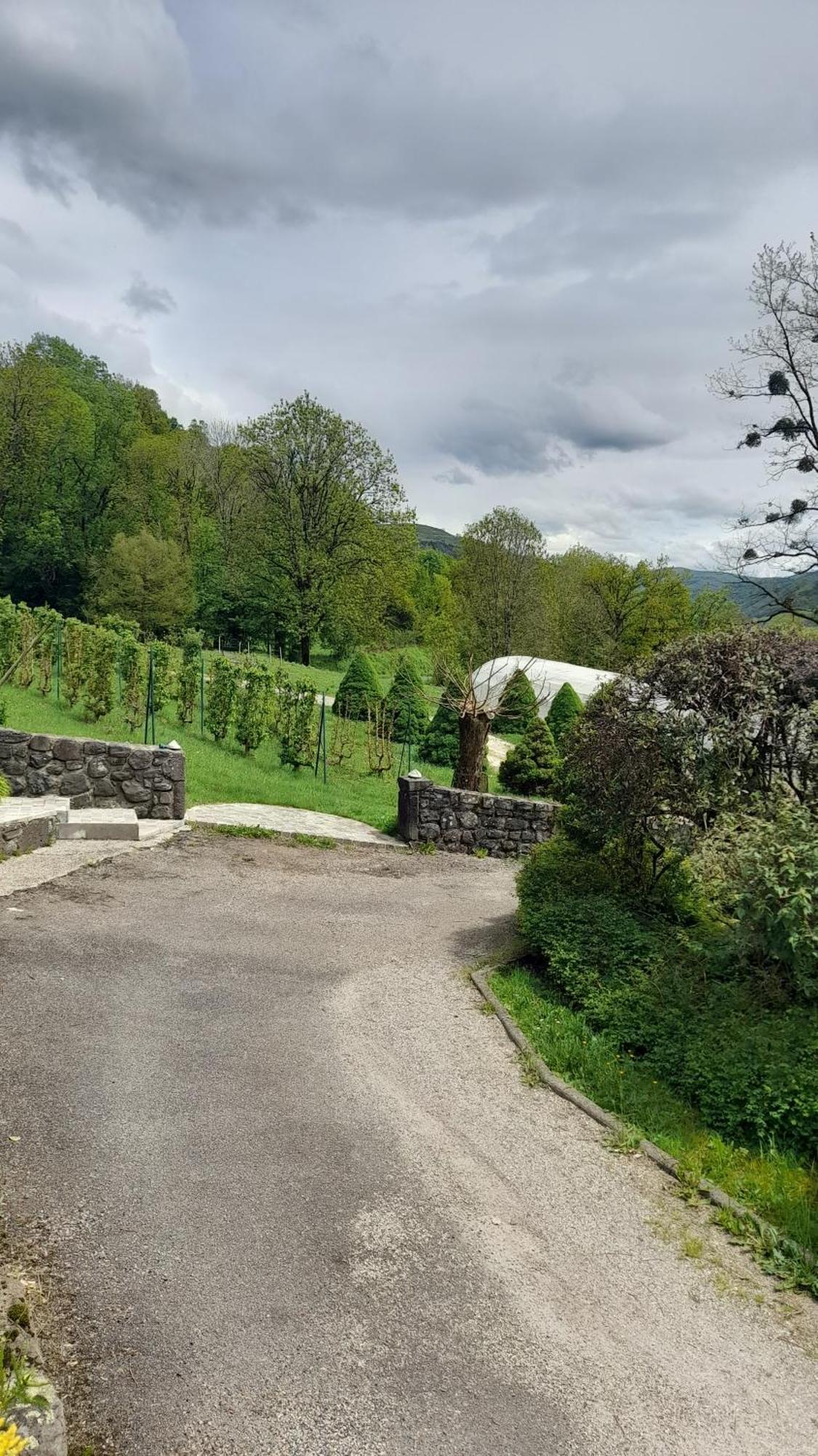 Saint-Martin-Valmeroux Chambre D'Hote Dans Le Cantal Vallee De La Maronne المظهر الخارجي الصورة
